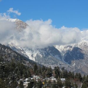 11050787_780739822012305_511726087541593294_o