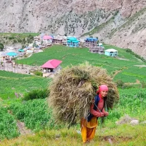 A-lady-from-Charang-village-of-Kinnaur.jpg