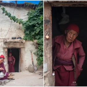 Budhhist-nun-or-Jomo-serving-salt-tea-at-Charang-monastery.jpg