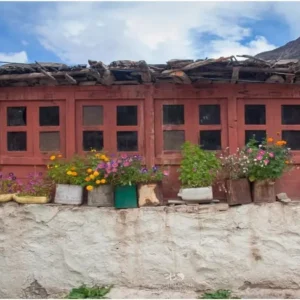 Charang-monastery-windows.jpg