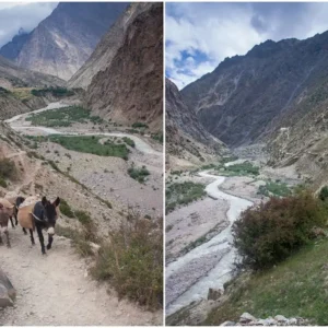 Ponies-in-Charang.jpg